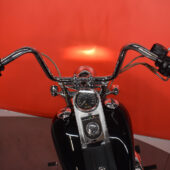 tuotekuva-Harley-Davidson-SOFTAIL-88-SHM-2024-02-13-114106-17