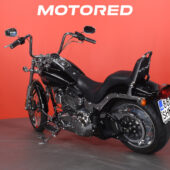Harley-Davidson - SOFTAIL - FXSTC Custom *Ilmainen talvisäilytys/kotiintoimitus* Cobra putkisto * - Moottoripyörä