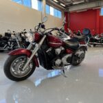 Yamaha - XVS - 1300 A Midnight Star // Juuri saapunut! / 1-om. / Suomi-pyörä / Sissybar // - Moottoripyörä