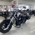 Suzuki - INTRUDER - M800 // Juuri sapunut / Sivulaukut / Huoltokirja / Sissy / Kaatumaraudat // - Moottoripyörä