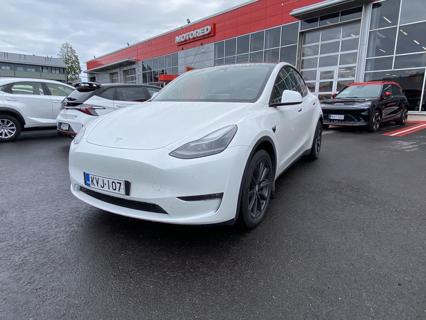 Tesla - Model Y - Long Range - Maastoauto
