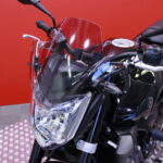 Yamaha - FZ1-N - // Suomi-pyörä / Huoltokirja / Yoshimura / Kaatumatapit // - Moottoripyörä