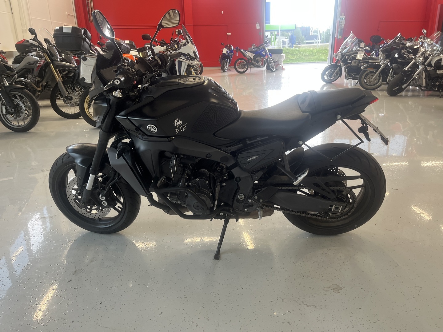 Yamaha - MT-09 - // Juuri Saapunut! / Vakkari / Shifteri / Madallettu / Kaatumaraudat / Sivulaukut // - Moottoripyörä