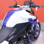 BMW - F - 900R // Suomi-pyörä / Huoltokirja / MIVV / Ajomodet / Kaatumatapit // - Moottoripyörä