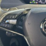 Skoda - Enyaq - 80x 4x4 iV - Maastoauto