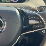 Skoda - Enyaq - 80x 4x4 iV - Maastoauto