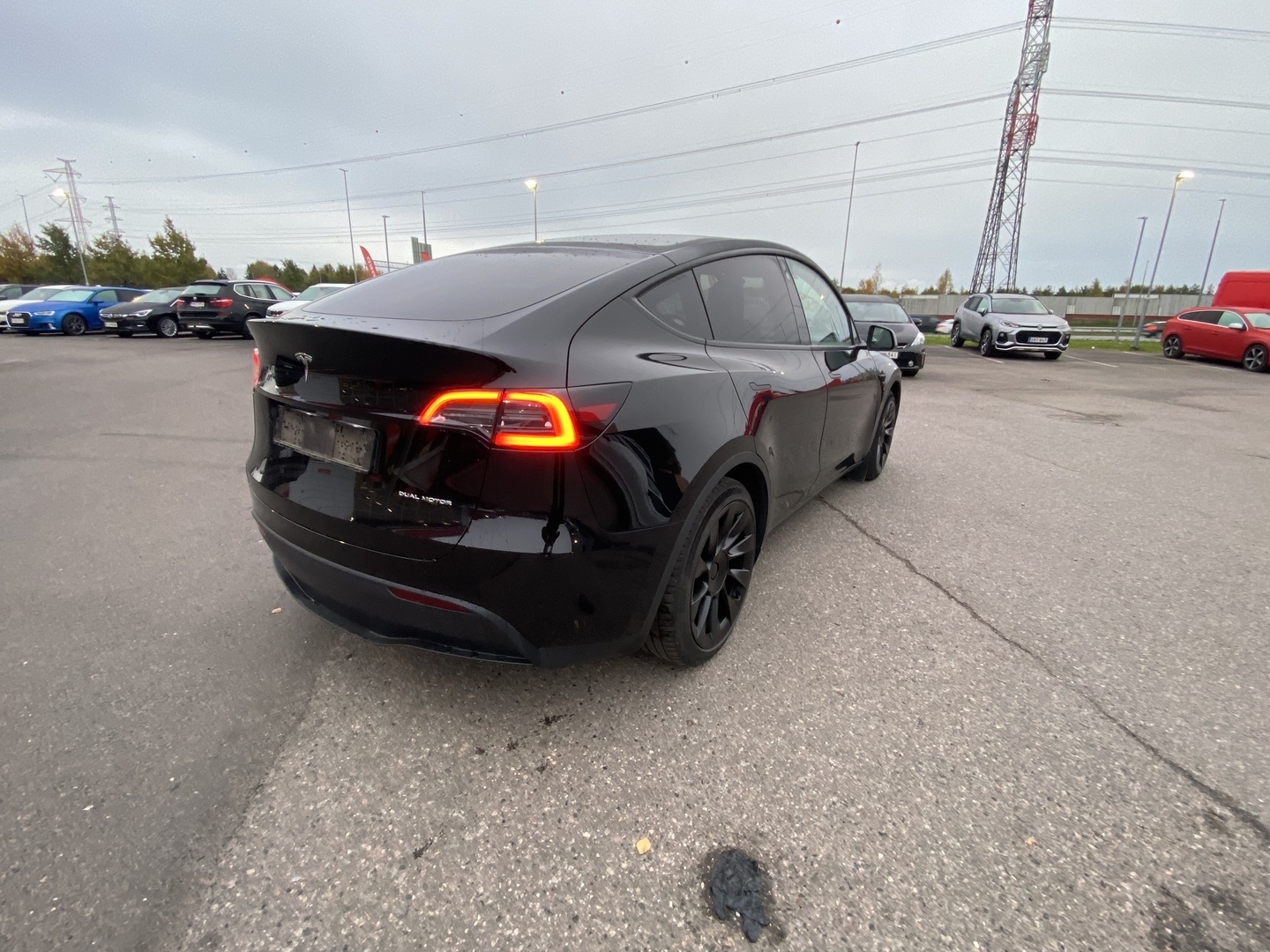 Tesla - Model Y - Long Range - Maastoauto