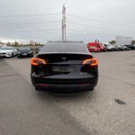 Tesla - Model Y - Long Range - Maastoauto